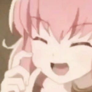 Meet your Posher, Ann